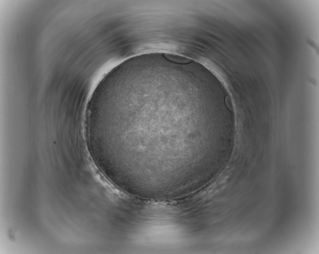 X0000101161104200807071152