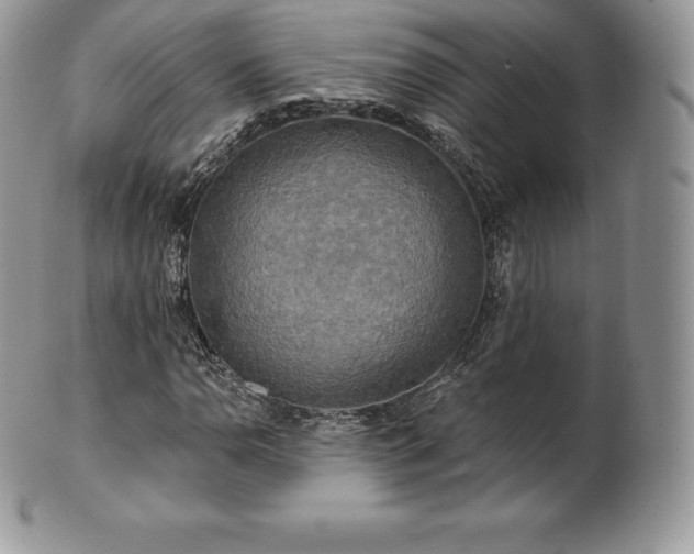 X0000101161110200807071151
