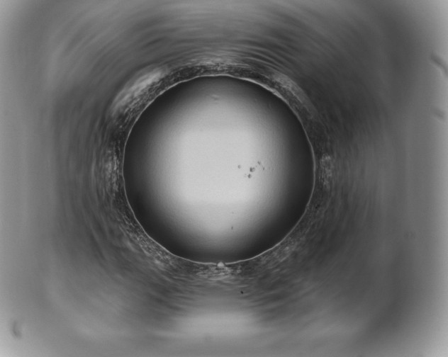 X0000101161111200807071151