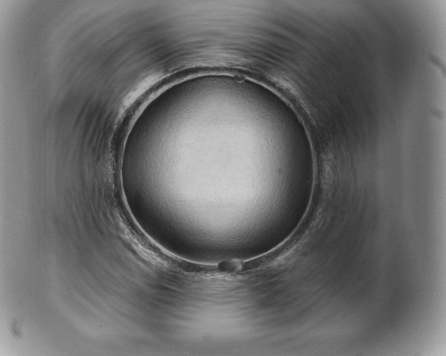 X0000101161114200807071151