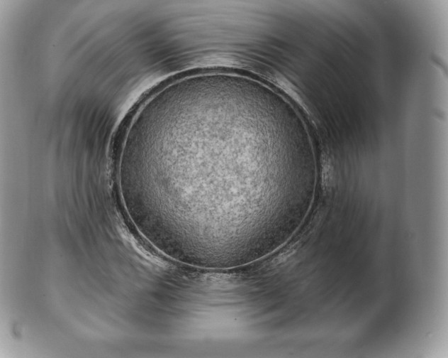 X0000101161116200807071151