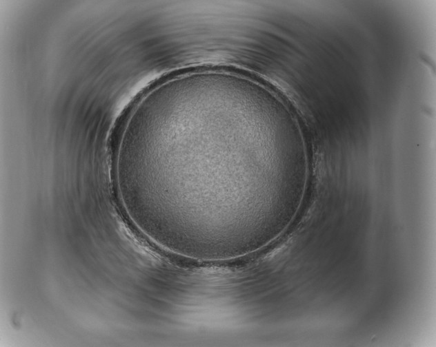 X0000101161118200807071151
