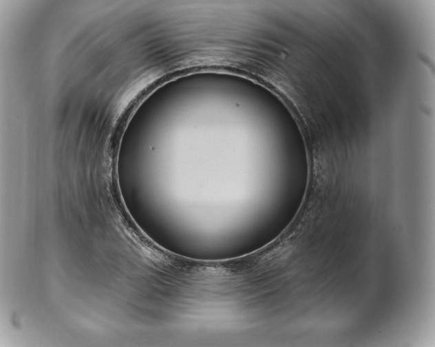 X0000101161119200807071151