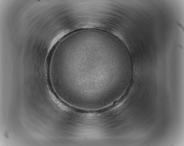 X0000101161122200807071151