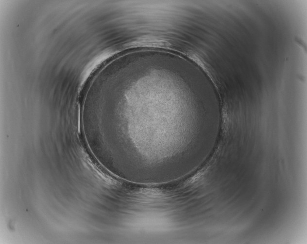 X0000101161123200807071151