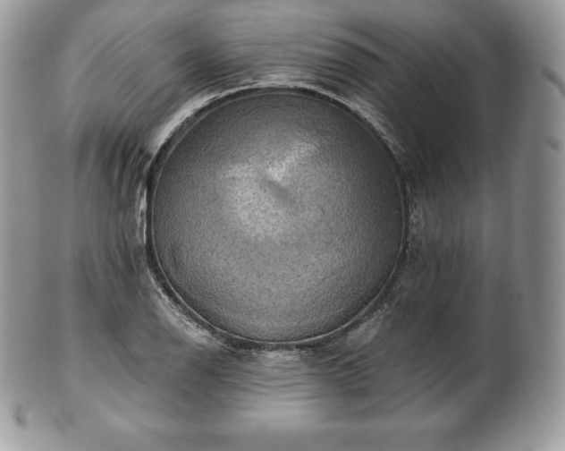 X0000101161126200807071151