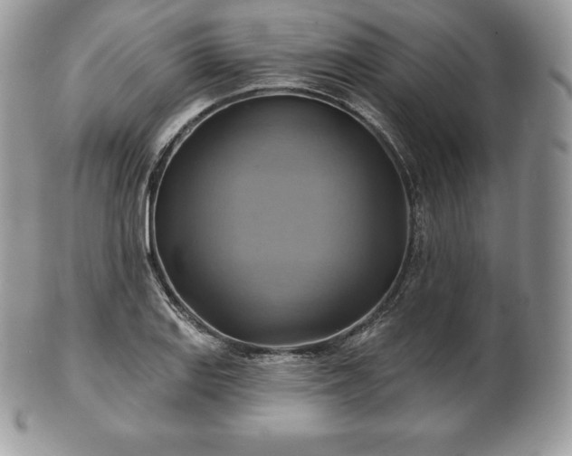 X0000101161127200807071151