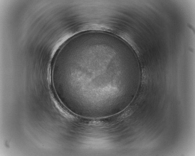 X0000101161128200807071151