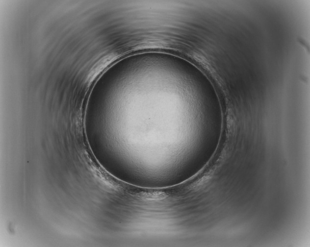X0000101161129200807071151