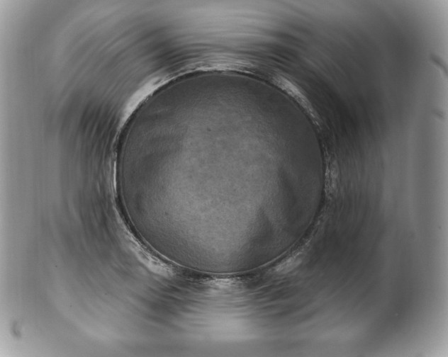 X0000101161130200807071151