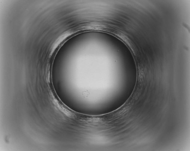 X0000101161131200807071151