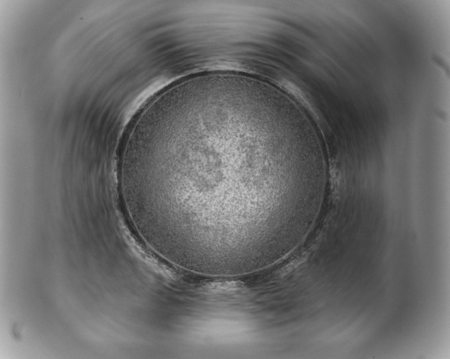 X0000101161133200807071151