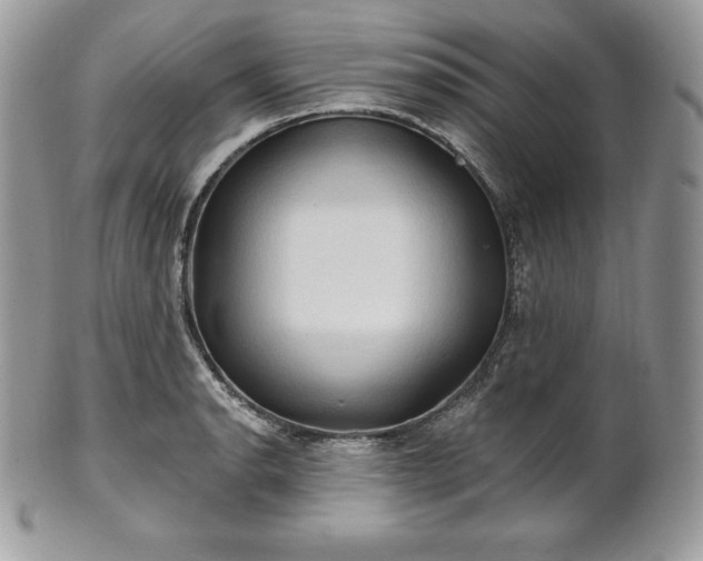 X0000101161134200807071151