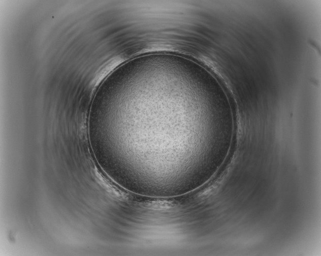 X0000101161137200807071151