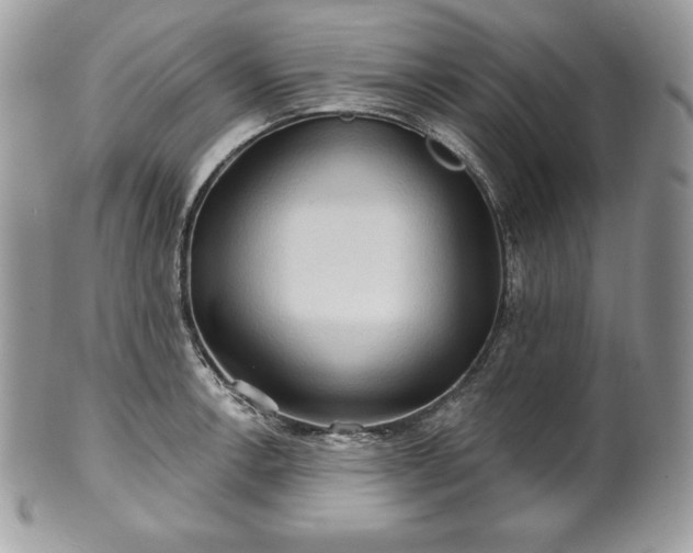 X0000101161138200807071151