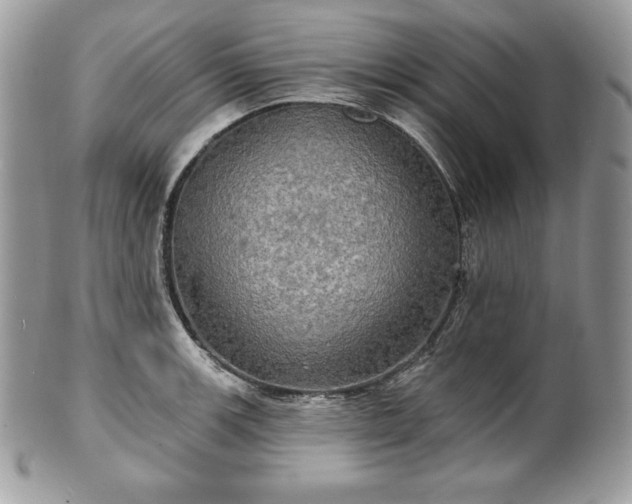 X0000101161139200807071151