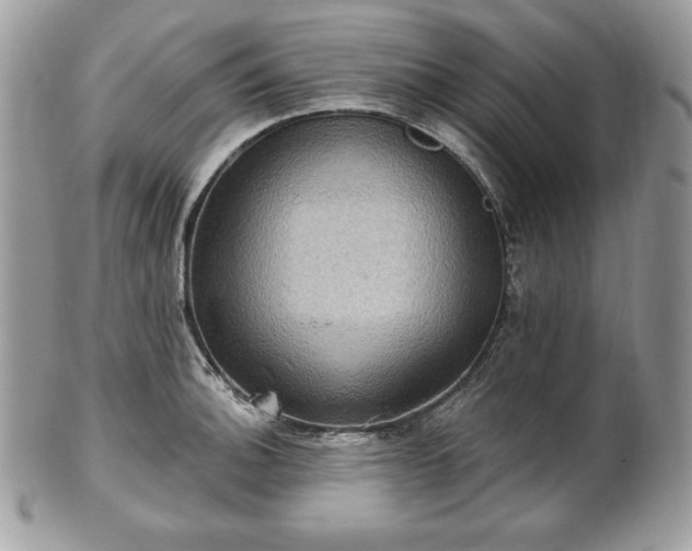 X0000101161140200807071151