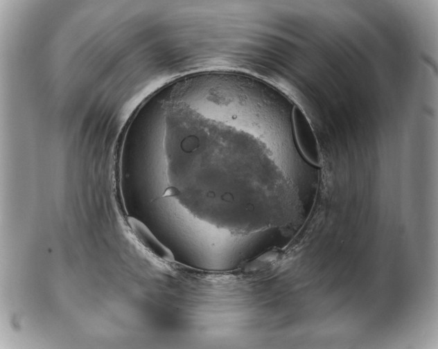 X0000101161142200807071151