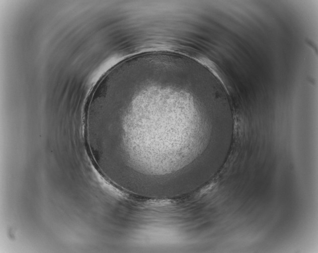X0000101161143200807071151
