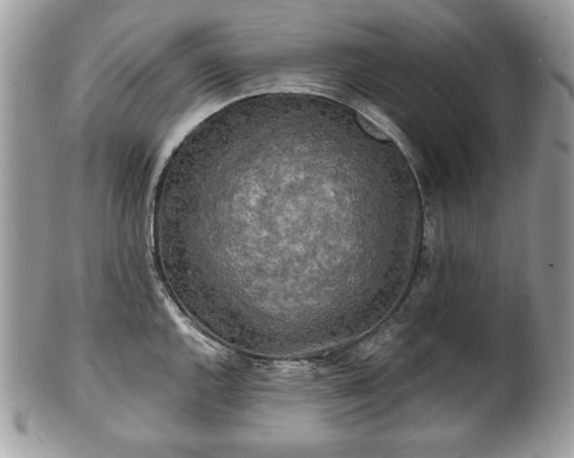 X0000101161144200807071151