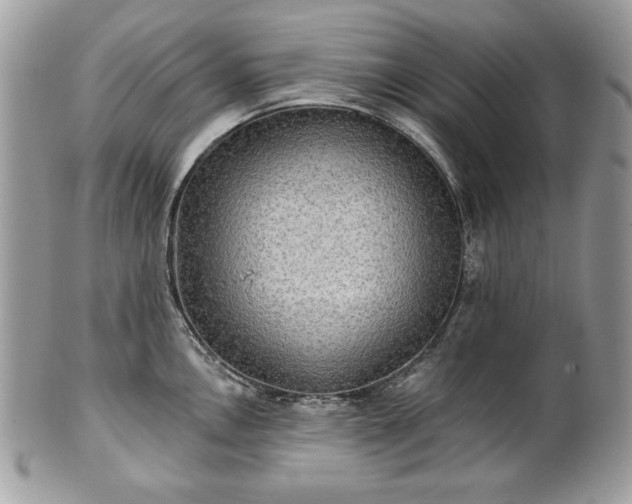 X0000101161146200807071151