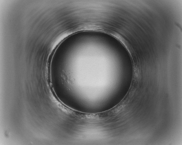 X0000101161147200807071151