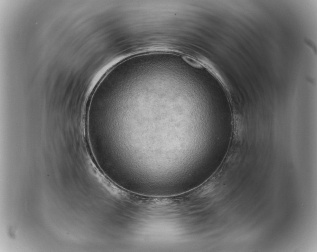 X0000101161148200807071152