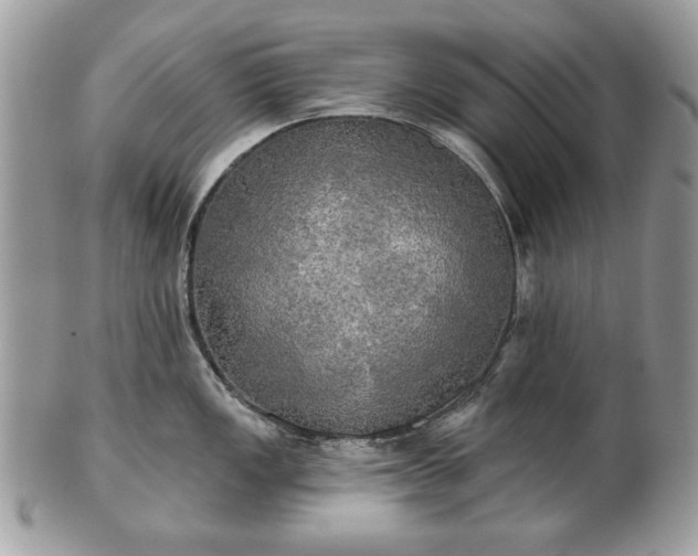 X0000101161149200807071152