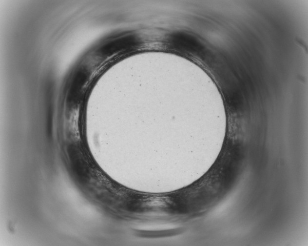 X0000101161150200807071152