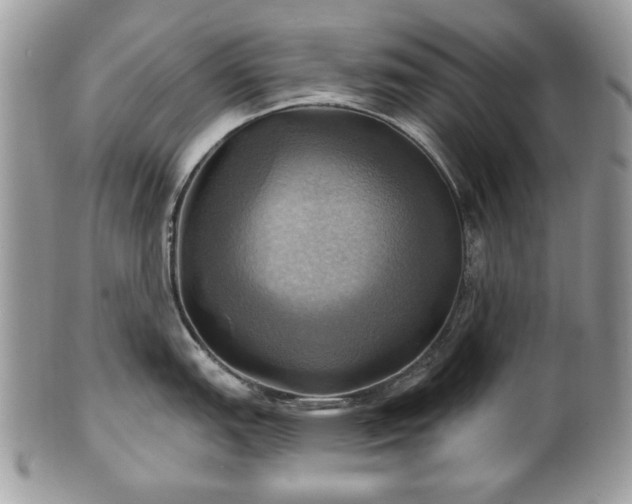 X0000101161151200807071152