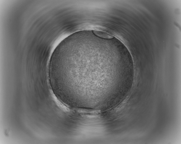 X0000101161152200807071152