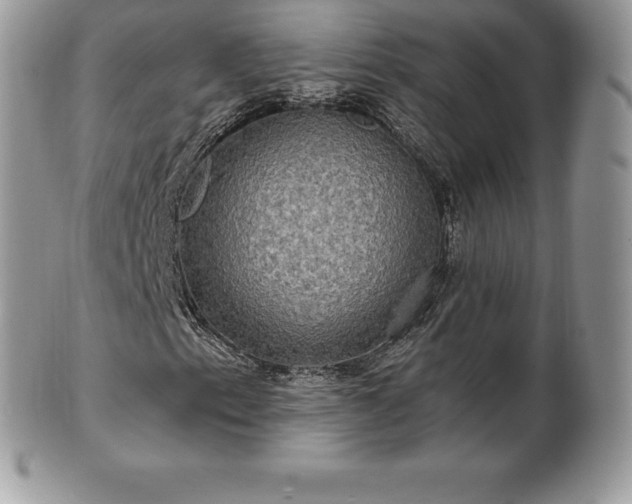 X0000101161153200807071151