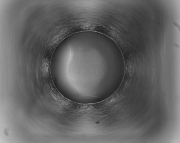 X0000101161154200807071151