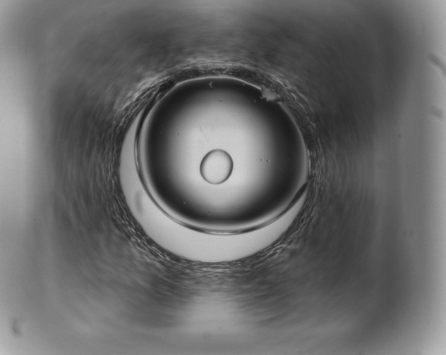 X0000101161157200807071151