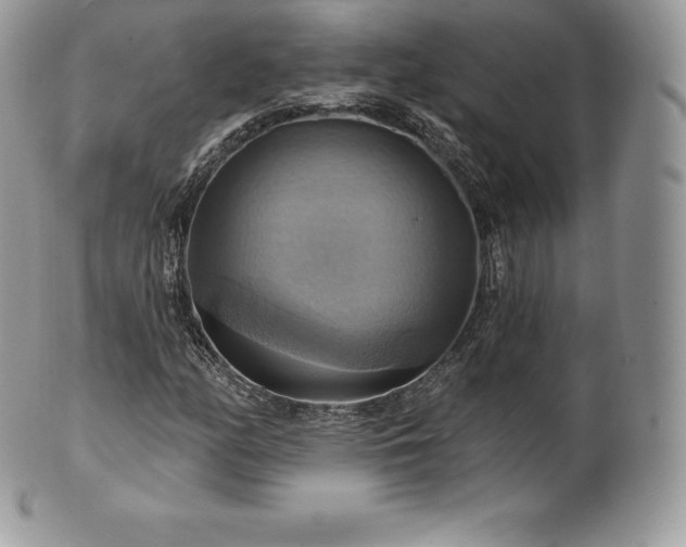X0000101161158200807071151