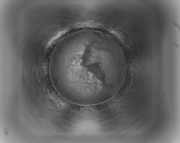 X0000101161159200807071151