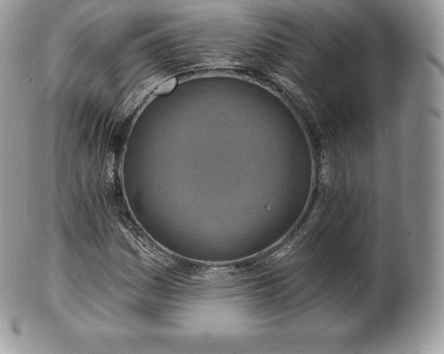 X0000101161161200807071151
