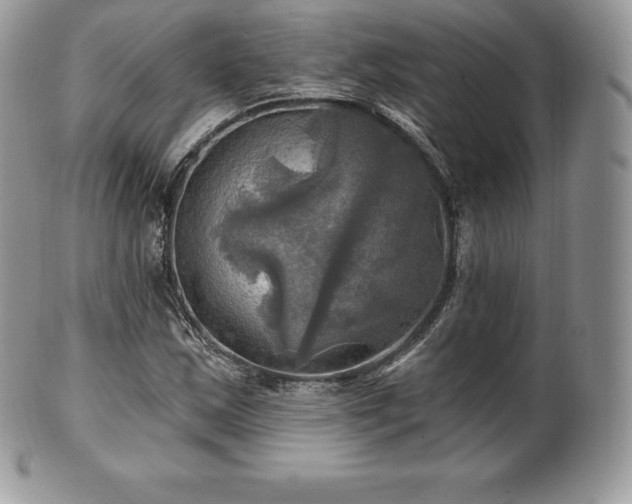 X0000101161163200807071151