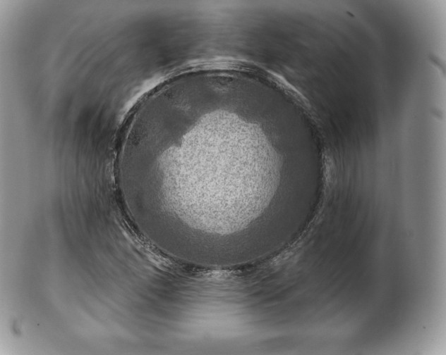 X0000101161166200807071151