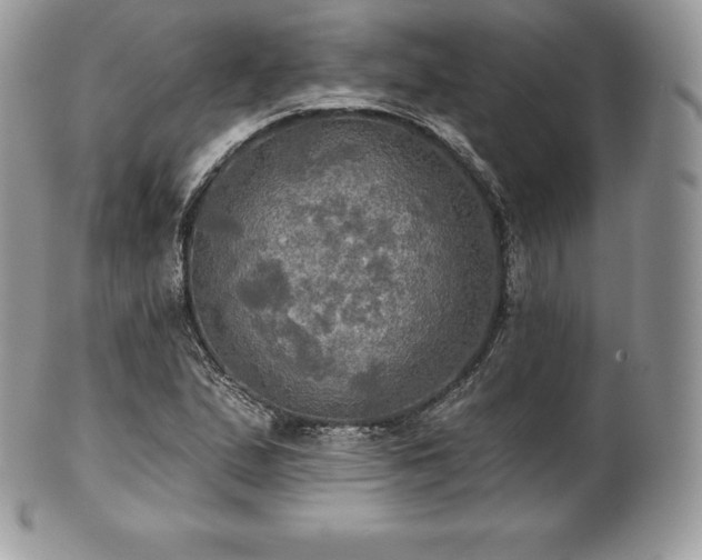 X0000101161167200807071151