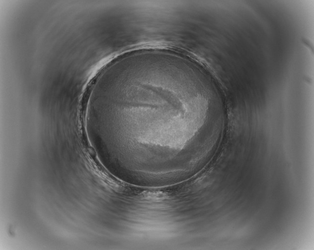 X0000101161168200807071151