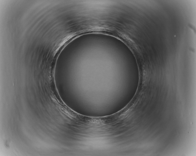 X0000101161170200807071151