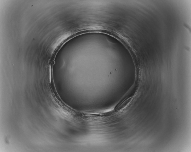 X0000101161171200807071151