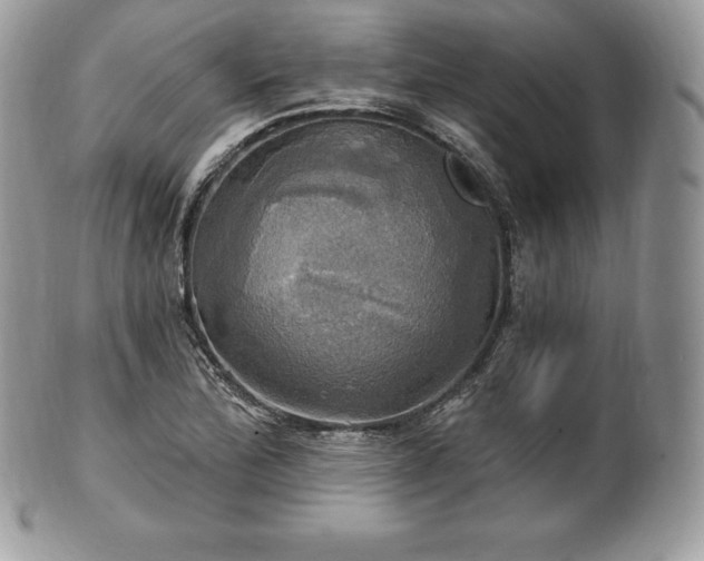 X0000101161172200807071151