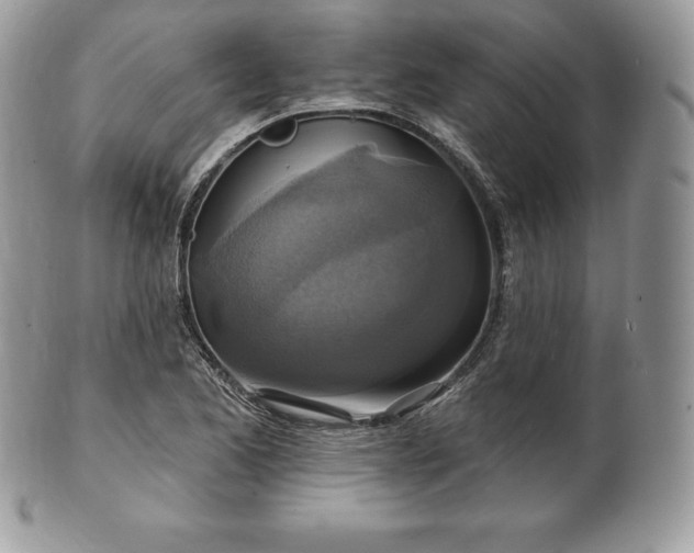 X0000101161173200807071151