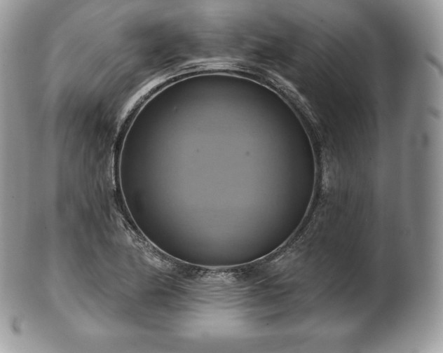 X0000101161174200807071151