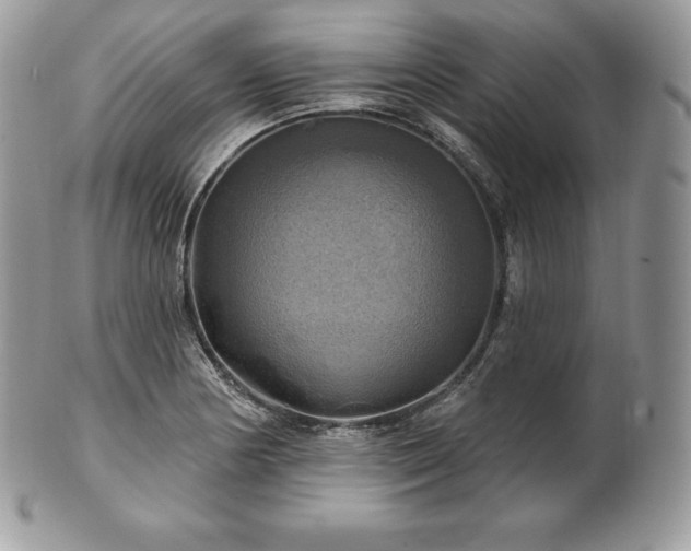 X0000101161178200807071151