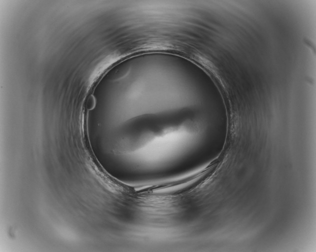 X0000101161179200807071151