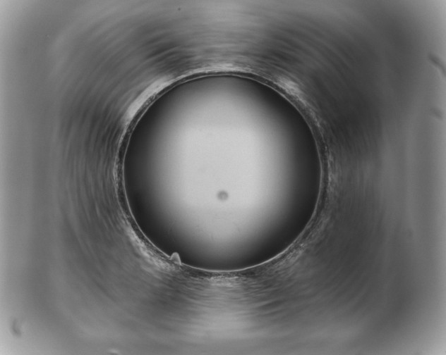 X0000101161181200807071150
