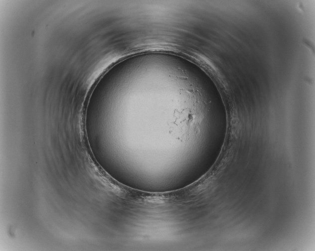 X0000101161182200807071150
